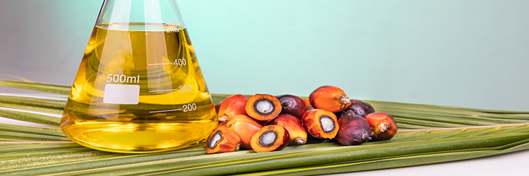 Alemdar 07: Uso práctico en la Industria Alimentaria